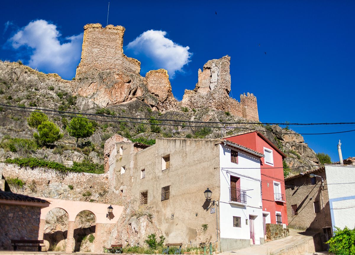 Arándiga_INT0215© Santiago Cabello (archivo Tintaura S.L.)