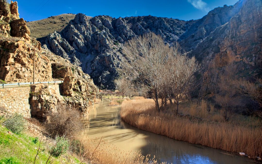 Escalada en Embid de la Ribera