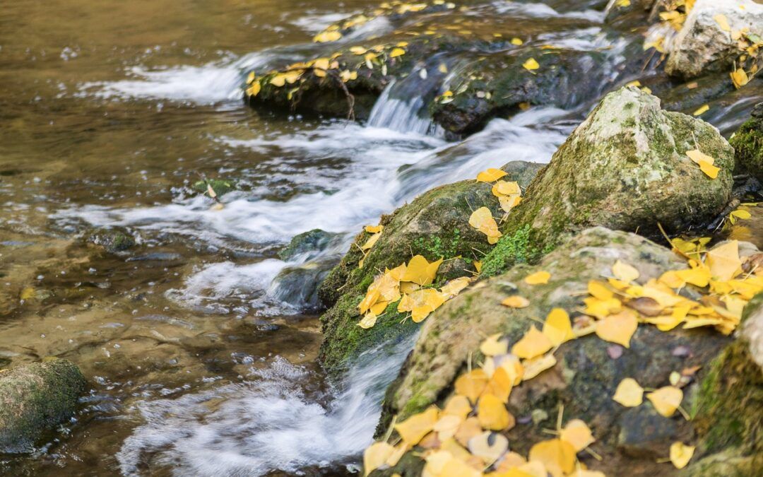 ¿Tienes planes para el puente de la Constitución?