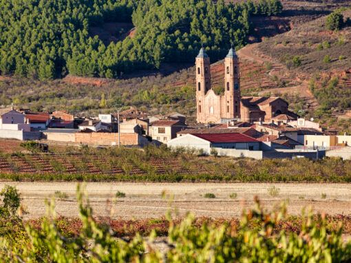 El Baile del Ton de San Cristóbal de Munébrega El Baile del Ton de San Cristóbal de Munébrega