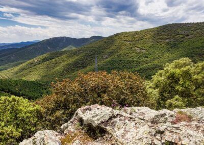 Puerto de Codos – Encinacorba