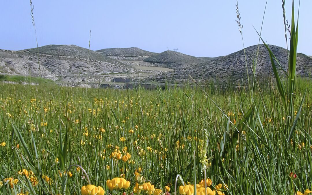 Estepa de Valdehurón