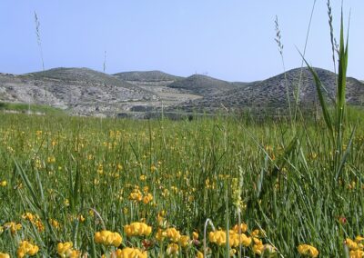 Estepa de Valdehurón