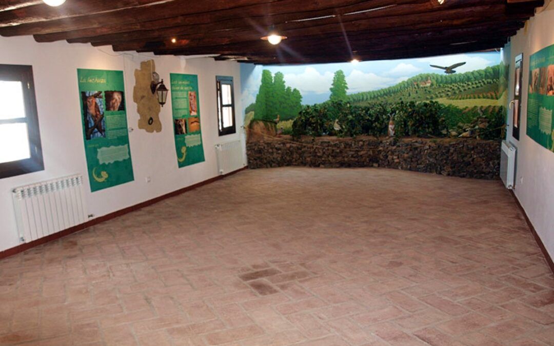 C.I. Naturaleza La Zarandilla