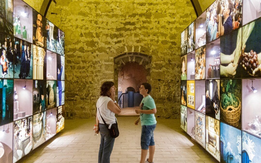 Museo del Vino de la D.O. Calatayud
