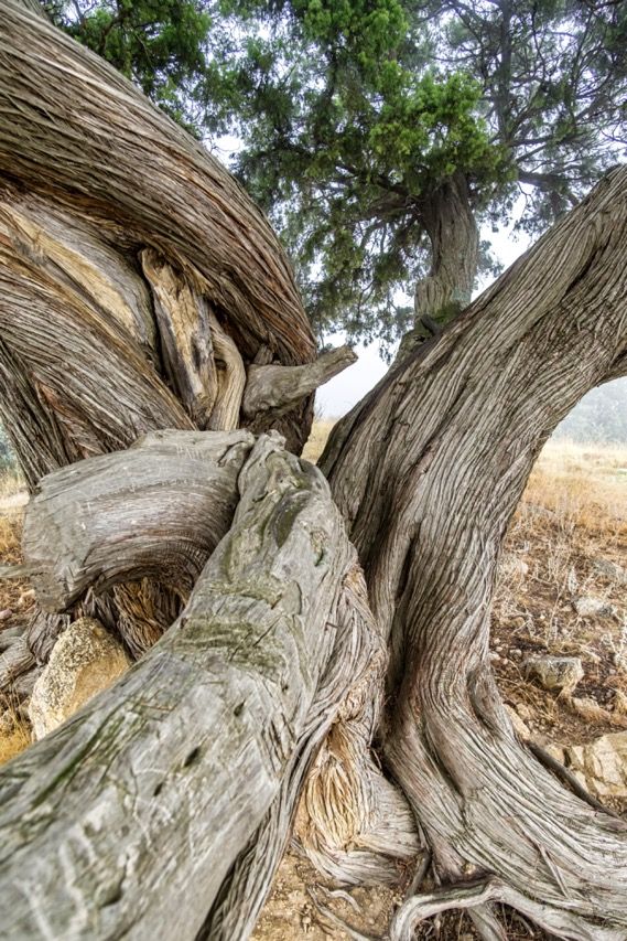 Santiago Cabello Solanas