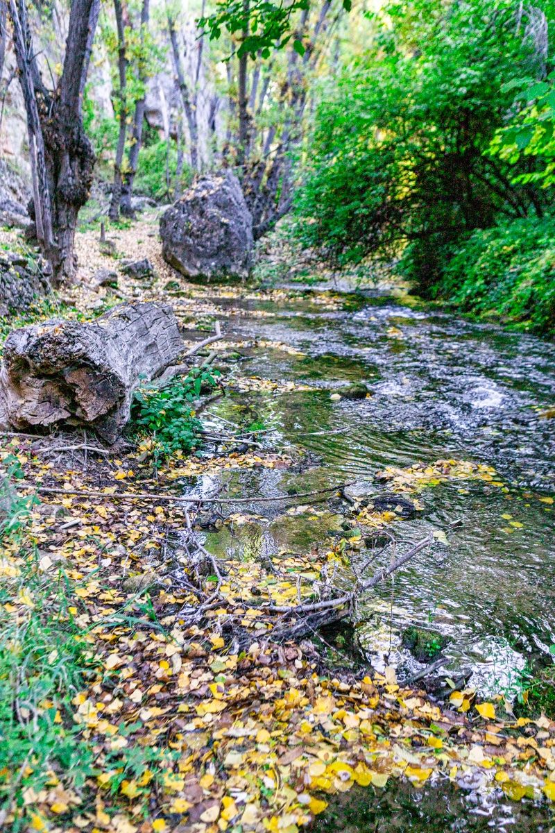Santiago Cabello Solanas
