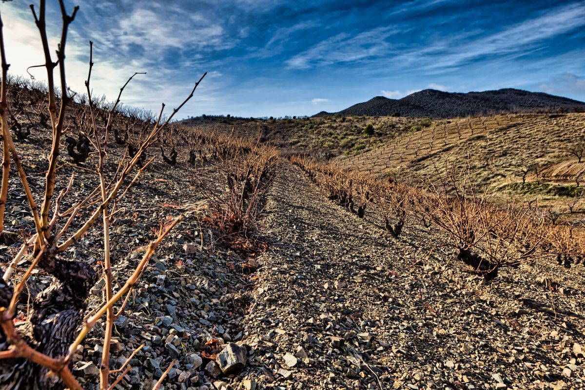 "Photographer: Santiago Cabello Solanas * tel. 609 174 070"