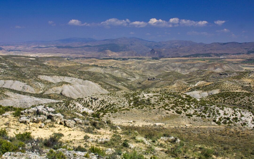 Muelas del Jiloca: El Campo y La Torreta