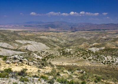 Muelas del Jiloca: El Campo y La Torreta