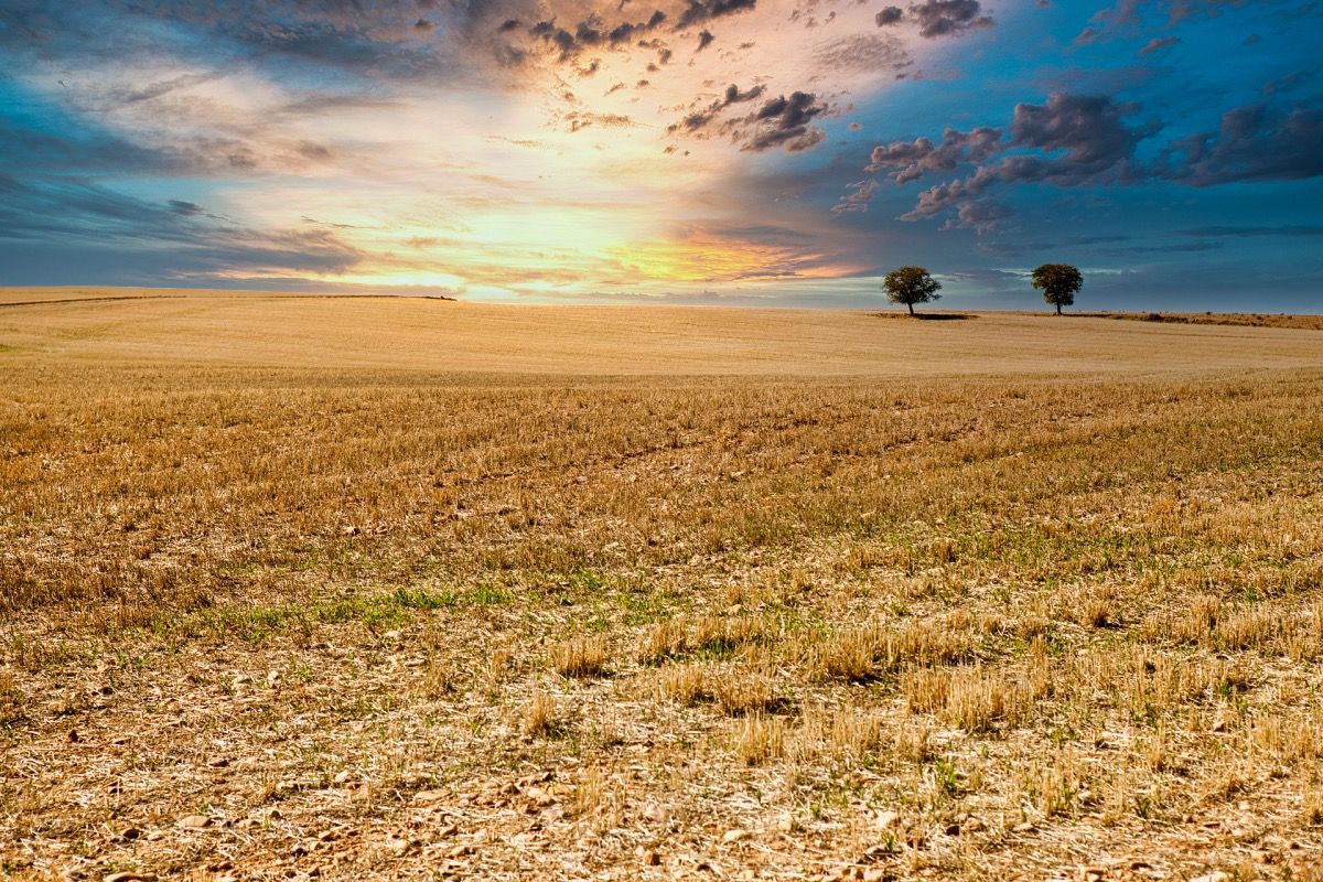 Alconchel de Ariza IMG_9525 Santiago Cabello