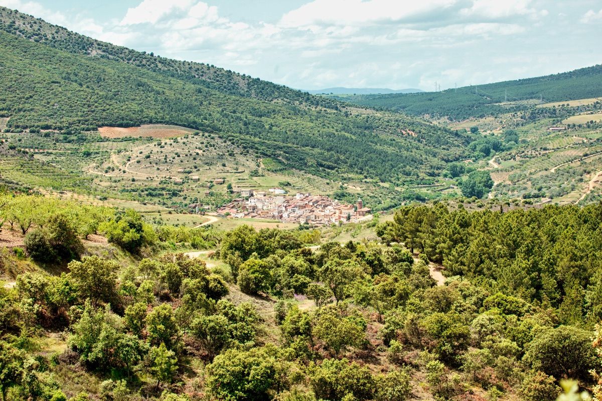 Archivo DPZ/tintaura