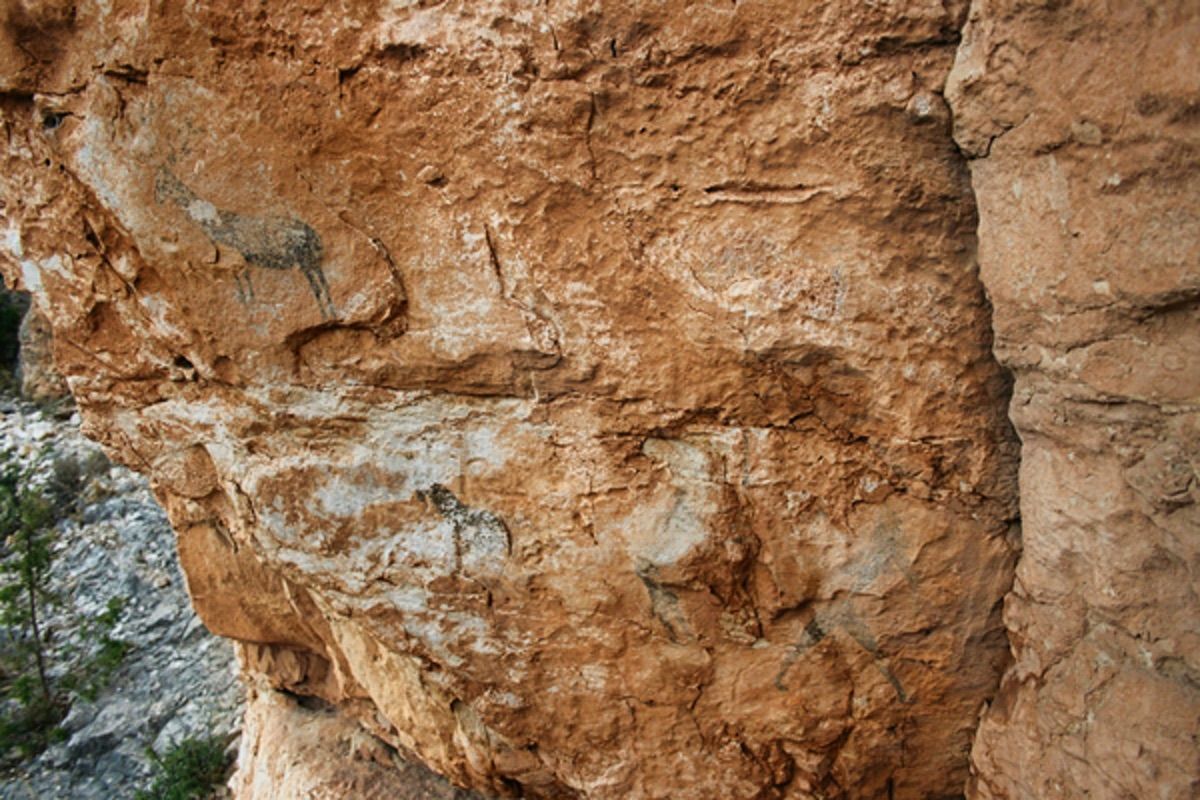 Jaraba rupestres