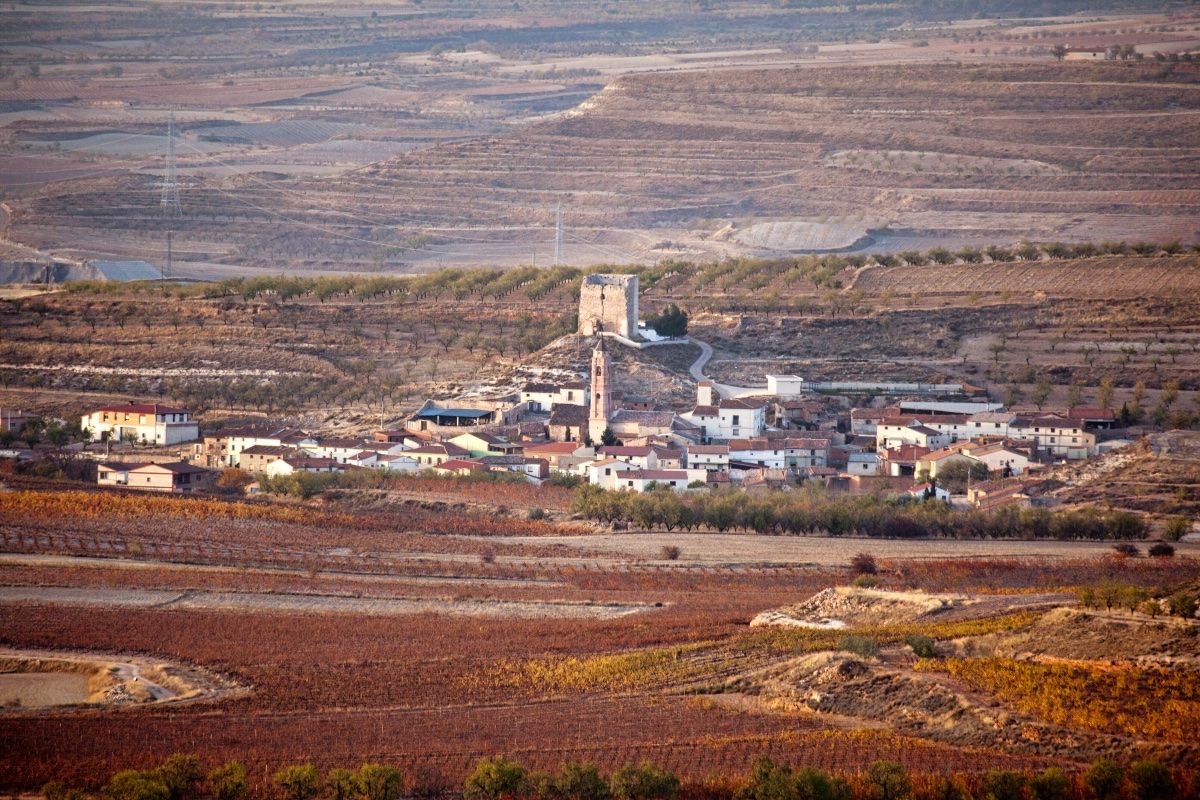 Archivo DPZ/tintaura