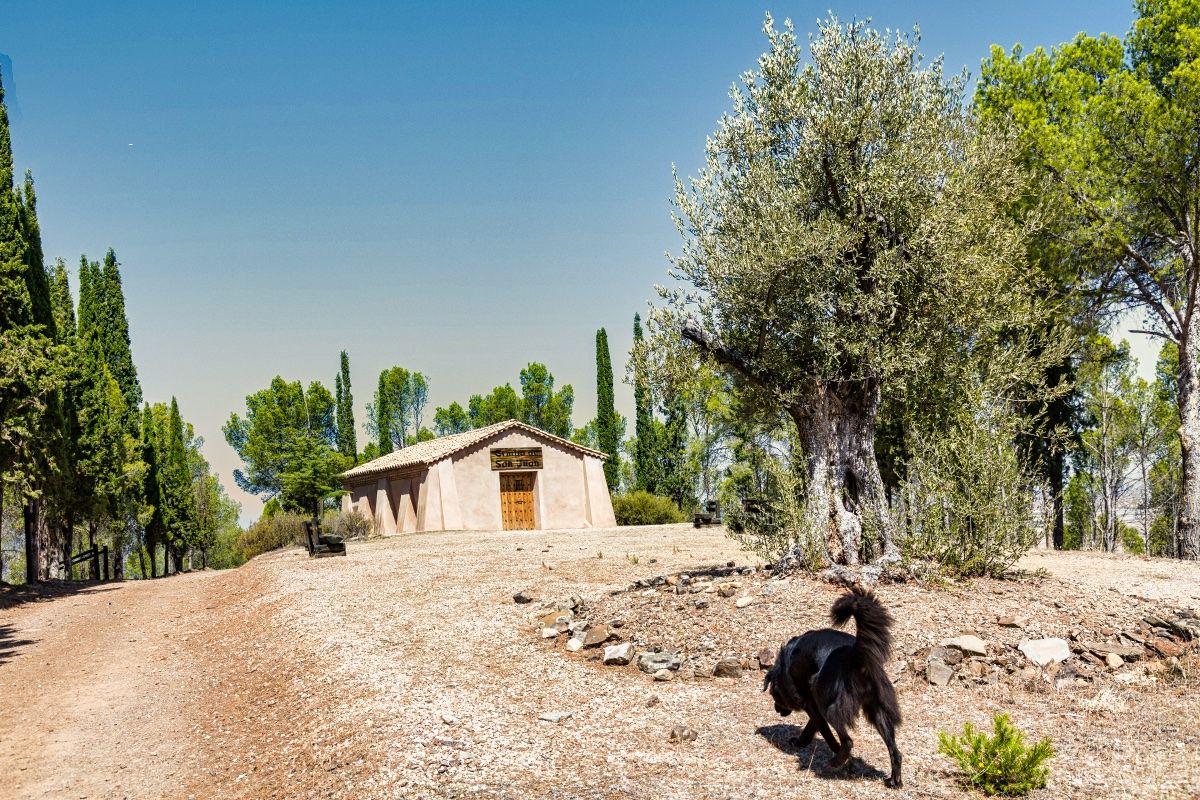 Santiago Cabello Solanas